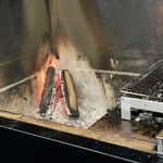 レフェルヴェソンス - 