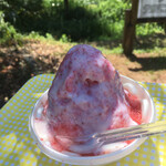 ふる里農園 美の関 - 木蔭でいただきます