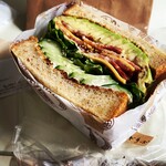 アースカラー - 