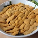 究極の生うに丼
