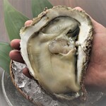 Kaikaya - 徳島産　天然岩牡蠣