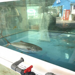 JF北灘 さかな市 - 