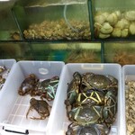 竹園海鮮飯店 - 