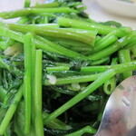 普天河 - 