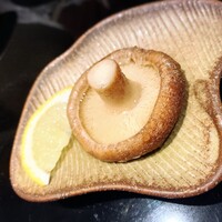 かんない 諸星 - 