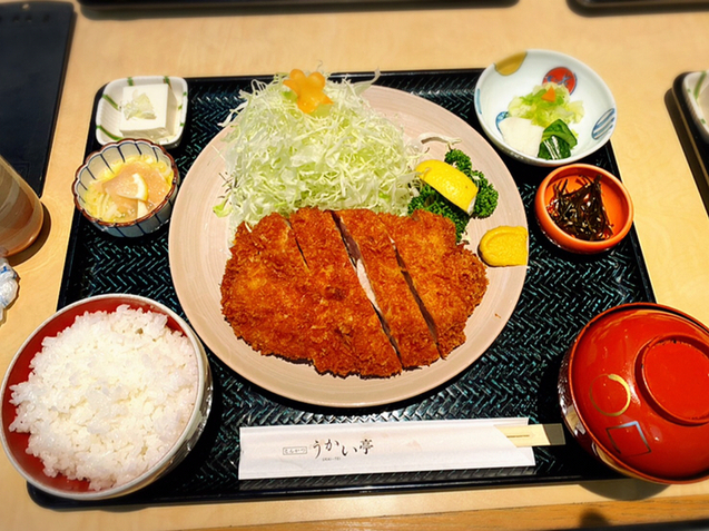 うかい亭 一花 うかいてい いちげ 高崎問屋町 とんかつ 食べログ うかい亭 一花 うかいてい いちげ 高崎問屋町 とんかつ 食べログ