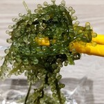 沖縄バル hana-hana - 海葡萄クラスター