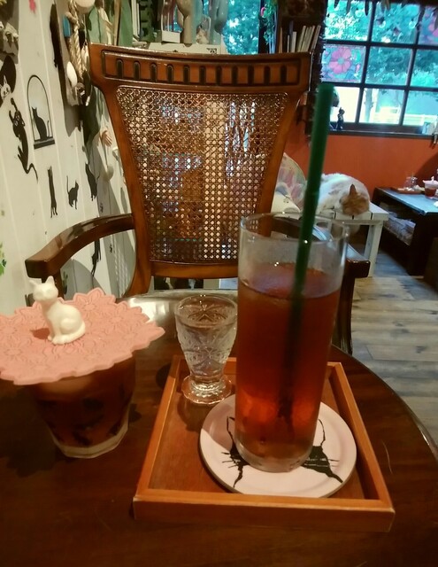 Neko Cafe Nyaon Nyaon photo 3