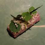 ラチュレ - アオウミガメのタルタル