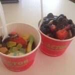 Yo Factor - 料理写真: