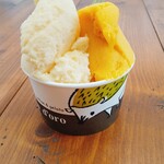 リッチョドーロ - 