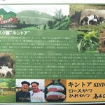 とんかつ 栄ちゃん - 