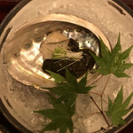 柊家旅館 - 夕食　鮑