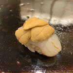 鮨 かんび - 唐津の赤雲丹とアオリイカ