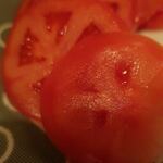 酒菜坊 橋蔵 - 冷やしトマト　ズームアップ