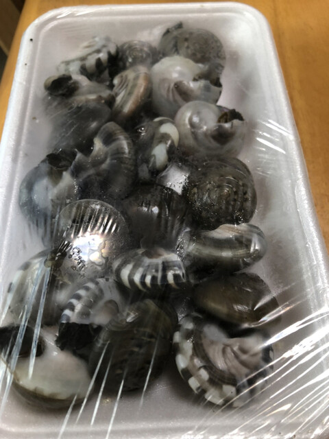 石井丸 海鹿島 魚介料理 海鮮料理 食べログ 石井丸 海鹿島 魚介料理 海鮮料理 食べログ