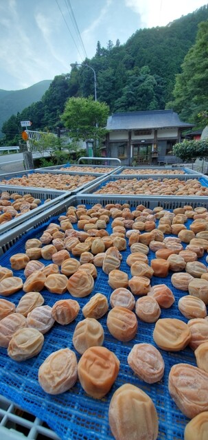 古道の杜 あんちゃん 朝来 その他 食べログ 古道の杜 あんちゃん 朝来 その他 食べログ
