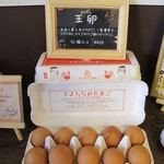 Toyonchinotamago - 王卵