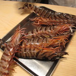 くろぎ - でかすぎ！車海老