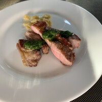 フォリオリーナ・デッラ・ポルタ・フォルトゥーナ - 