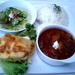 JICA関西 - ●０９年３月(ハンガリー)