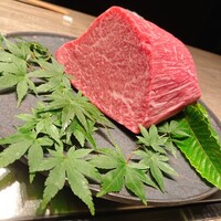 USHIGORO S. NISHIAZABU - 