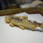 みかわ 是山居 - 2012.06.21　季節天ぷら、稚鮎