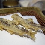 みかわ 是山居 - 2012.06.21　季節天ぷら、稚鮎
