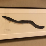 鰻はし本 - 長嶋さん作のうなぎ