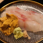 道人 - 淡路島のアコウ 雲丹