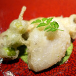 ドディチ・マッジョ - 