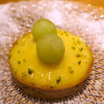 ドディチ・マッジョ - 