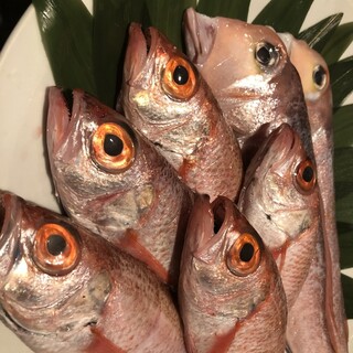 Misumi sole! Sweet sea bream! Fresh fish from the Sea of Japan and the Seto Inland Sea, including red-throated sea bream, now in stock.