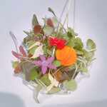 イチリン ハナレ - 