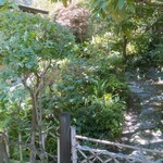 イチリン ハナレ - 