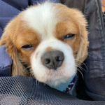 二代目めん家　味味 - 