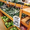 ファーマーズガーデンやまべ