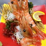 Button shrimp (3 fish)