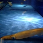 せいもん払い - 