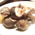 アンフォラ - 前菜５種　バイ貝のボイルレモン