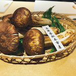 馳走 啐啄一十  - 