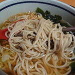 めし処 美熊屋 - かけそば470円　麺アップ
