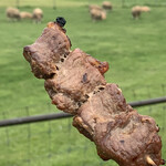 羊ヶ丘レストハウス - ラム串焼き