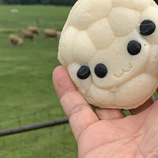 札幌ひつじ堂_1