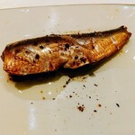 鮓 きずな - 鰯のオイルサーディン