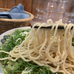 中華蕎麦 春馬 - 麺リフト⤴️