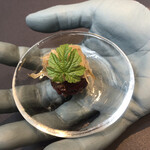 プレゼンテ スギ - 鯨