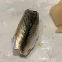 鮓処 ひろ志 - 小鰭