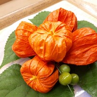 赤坂 菊乃井 - ⚫八寸「ほうずき盛六種」