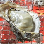 1 grilled Oyster